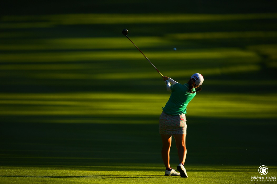 当我谈论“高尔夫”的时候，我谈些什么？