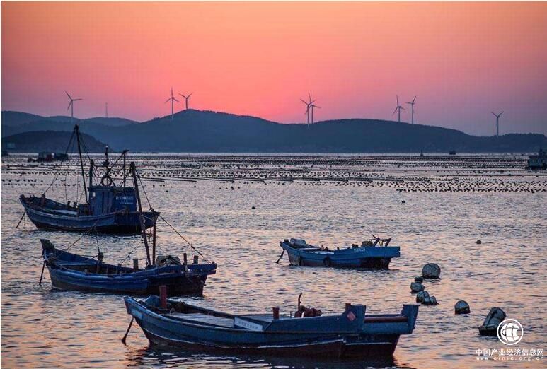 山东长岛转向绿色发展 变“靠海吃海”为“靠海养海”