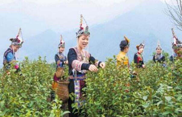 携手同行 共建多彩自治县--全国民族自治县脱贫奔小康掠影