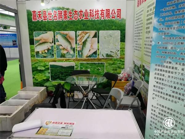 世名酵素的自然和谐