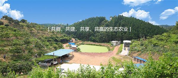 深圳聚农源 八年诠释一个品牌的执着与初心