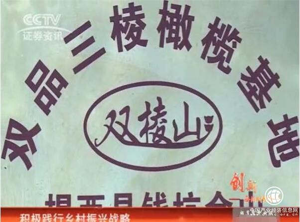 证券资讯频道《每周财经资讯》 走进三稔橄榄酒 创造果酒的养生神话