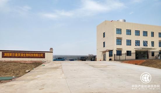 走进聚尔康茶油 看农民的发家之路