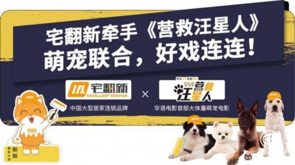 从宅翻新的萌宠IP营销，看家装企业如何打造有温度的品牌