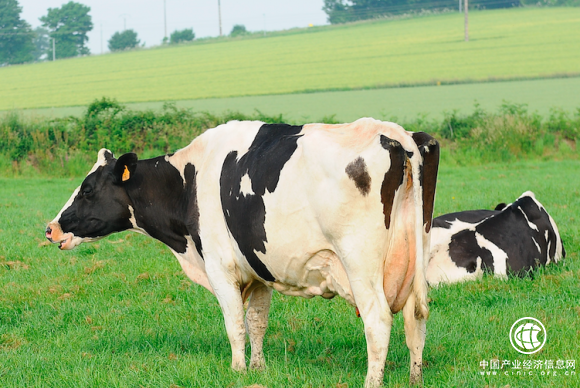 严苛监管每一道生产流程 生产卓越品质圣元奶粉