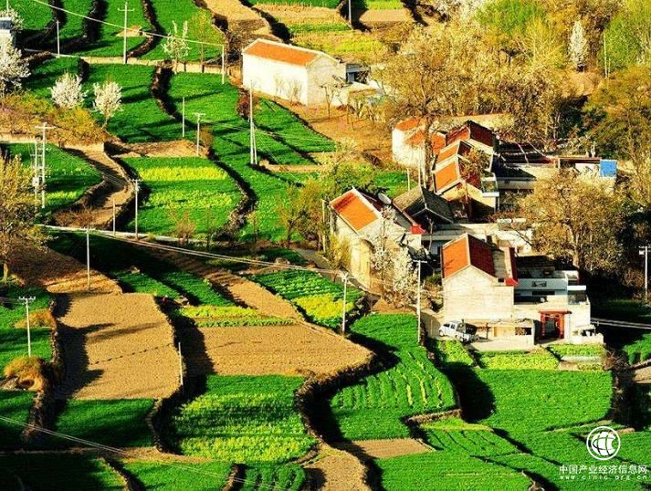 乡村旅游一揽子提质升级方案落地在即