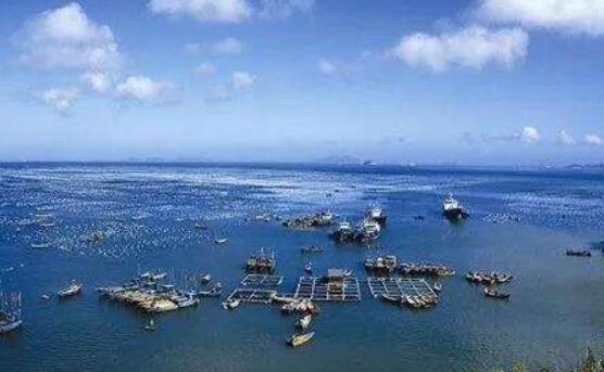 广东汕尾：在“逛吃逛吃”中绘就“兴海强市”新图景