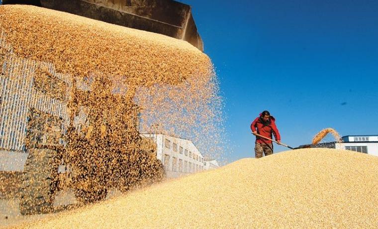 改革开放40年我国粮食产业改革成就鼓舞人心