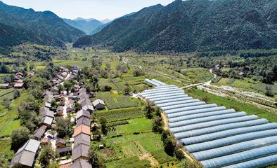 陕西凝聚社会力量巩固拓展脱贫攻坚成果