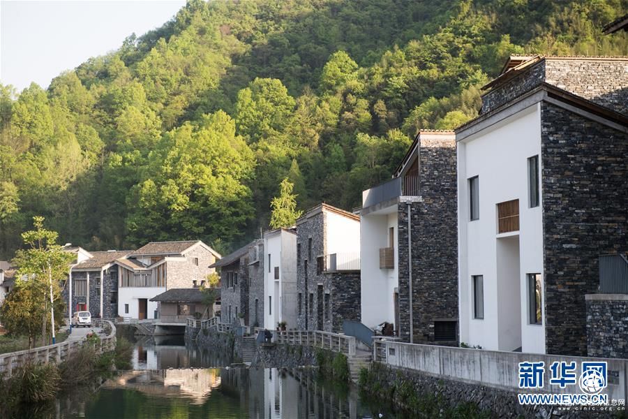 希望洒在金色田野——写在乡村振兴战略实施一周年之际