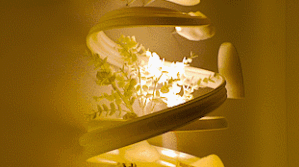 3- 橱窗图片 - gif5.gif