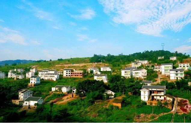 完善乡村基础设施建设和公共服务供给