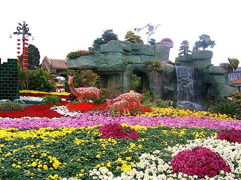 河南开封做菊产业文章塑造城市新名片