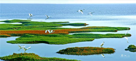 2018“黄河入海”旅游直通车开通，25条新旅游产品任你选！