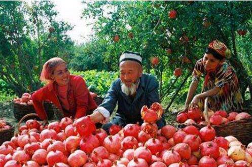 同心协力 精准施策 新疆脱贫攻坚不让任何贫困户掉队