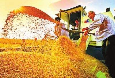 河南104个产粮大县获33.3亿元中央财政资金奖励