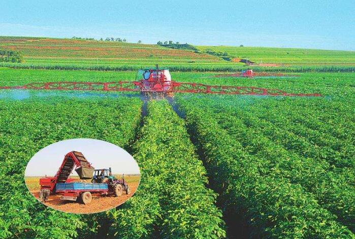 背靠“大树”好脱贫——山西右玉县的绿色脱贫路