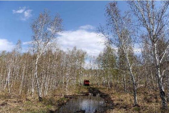 内蒙古天然林资源保护实现全覆盖