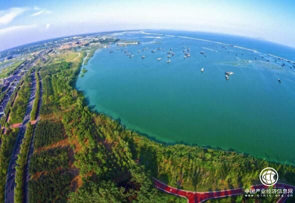 安徽：2020年底基本建成10万亩环巢湖生态林带