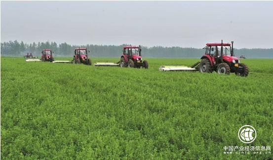 中国苜蓿产业或将迎来