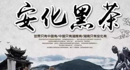 “中国黑茶之乡”湖南安化县：依托一带一路让安化黑茶走向世界
