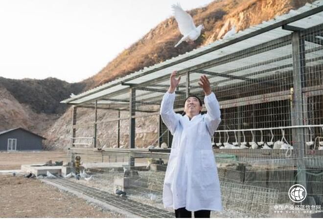 电商扶贫搭建供需“高速路”