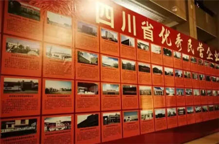 高原之宝荣获“四川省优秀民营企业”称号