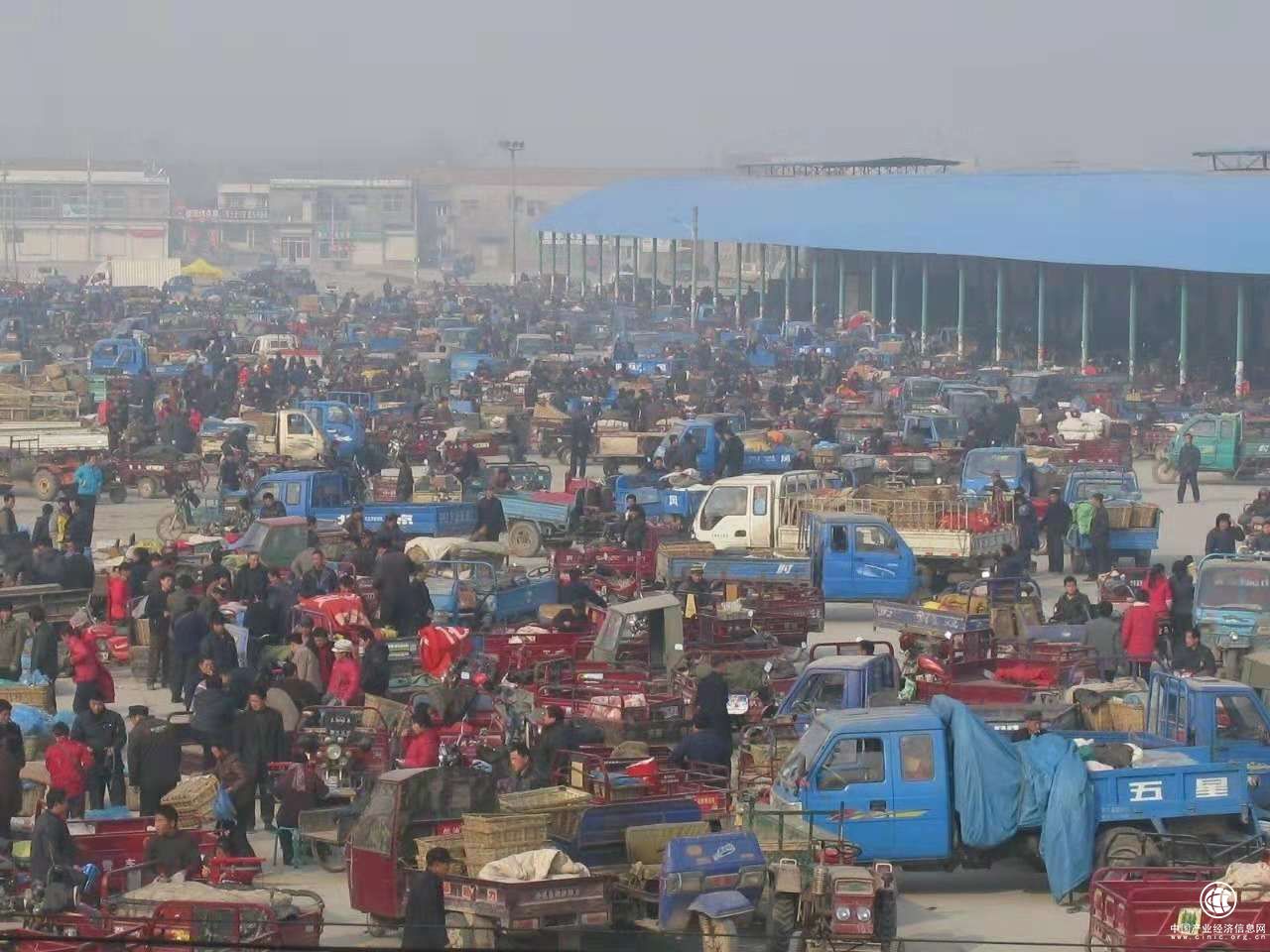 云ERP助力第七届黄瓜文化节，推动农贸市场智慧转型！