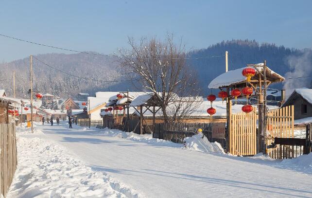 “码上诚信”亮出“诚信龙江”名片