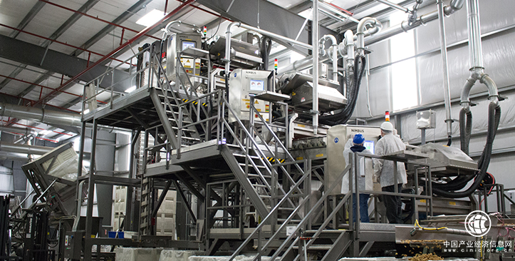 临安阿康食品：技术助力发展，致力做中国最好的核桃加工企业