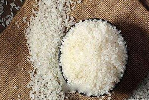 河南：第二届中国粮食交易大会成果丰硕 成交粮油1520.9万吨