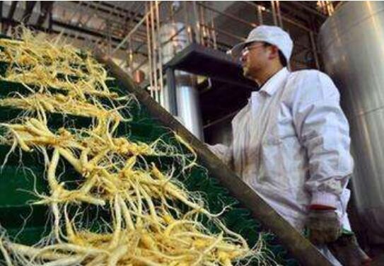 “中国西洋参之都”山东文登奏响新时代乡村振兴奋进曲