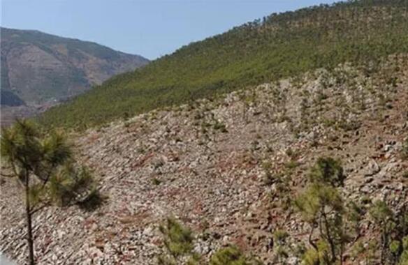 我国石漠化扩展趋势得到有效遏制