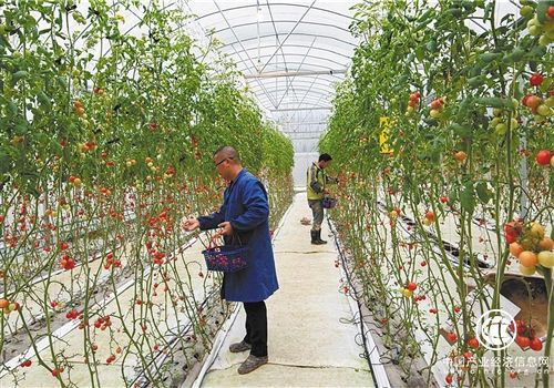 改革开放40年 我国农村贫困发生率降至2%以下