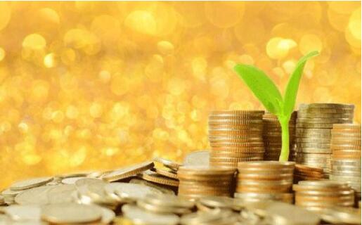 “产业+金融”让贫困户成“上班族”