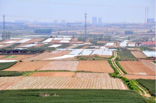 山东5年内将全面盘活利用农村闲散地