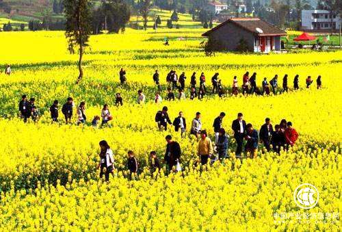 江西：2019年共有41.1万贫困人口脱贫