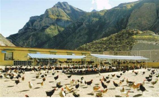 农发行累计向西藏放贷780亿元 重点支持脱贫攻坚