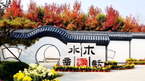 水米田：森林里的沙滩运动场