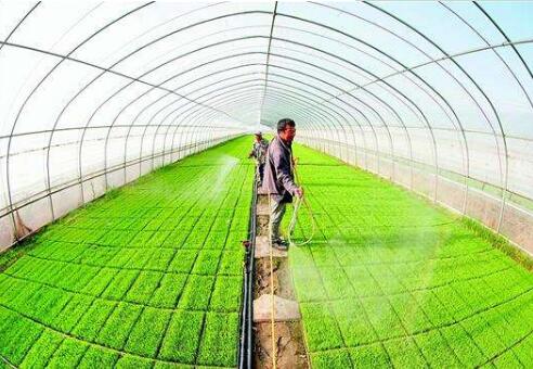 美了乡村富了乡亲！这些特色产业赋能乡村振兴→