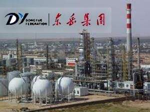 东岳集团：做行业发展探路人