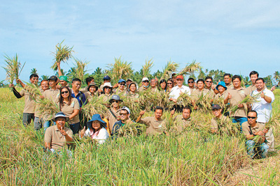 中国杂交水稻助东南亚解决“吃饭问题”