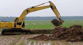 2022年全国耕地面积19.14亿亩 连续第二年止减回增