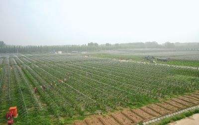 河南范县：“智志双扶”增强群众脱贫内生动力