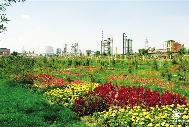 内蒙古阿拉善高新区：招商引资交出亮眼成绩单