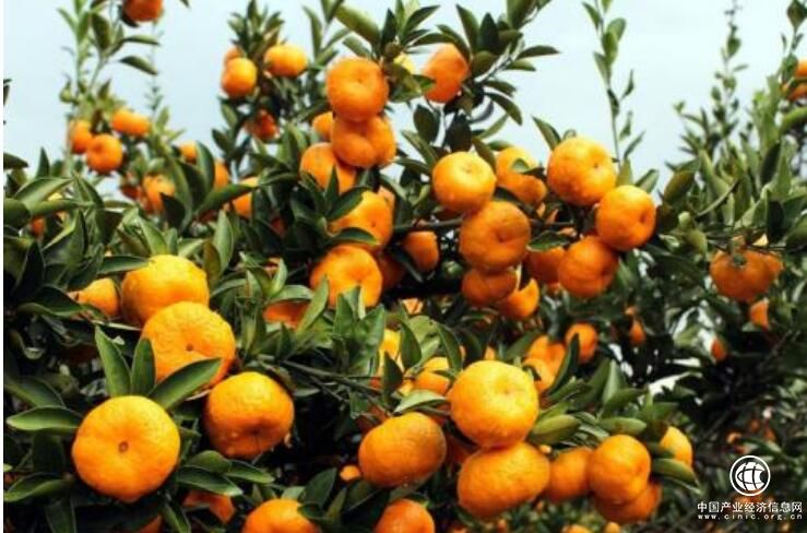 高质量推进“川货寄递”，让更多川果、川味、川菜走出去