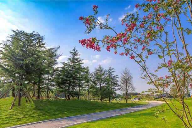 河南长葛：精准施策促脱贫攻坚