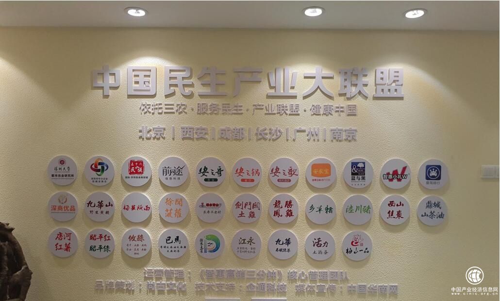 【中国民生产业大联盟深圳运营总部品牌文化墙】