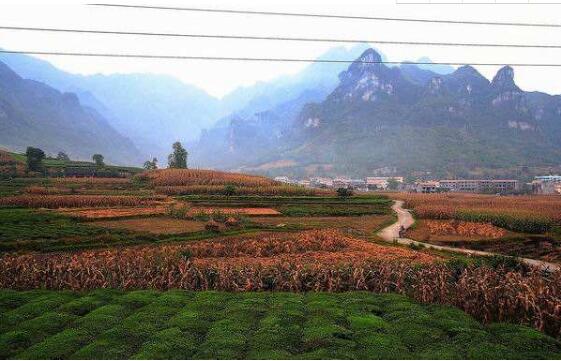 开展土地经营权入股发展农业产业化经营相关问题解读