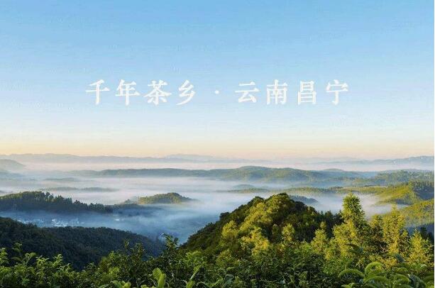 云南昌宁：一二三产业融合发展渐入佳境